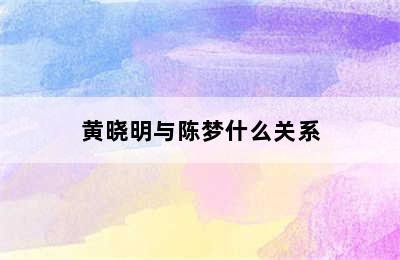 黄晓明与陈梦什么关系