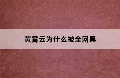 黄霄云为什么被全网黑