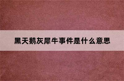 黑天鹅灰犀牛事件是什么意思