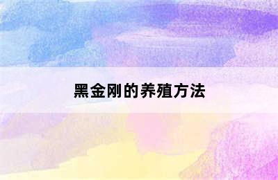 黑金刚的养殖方法